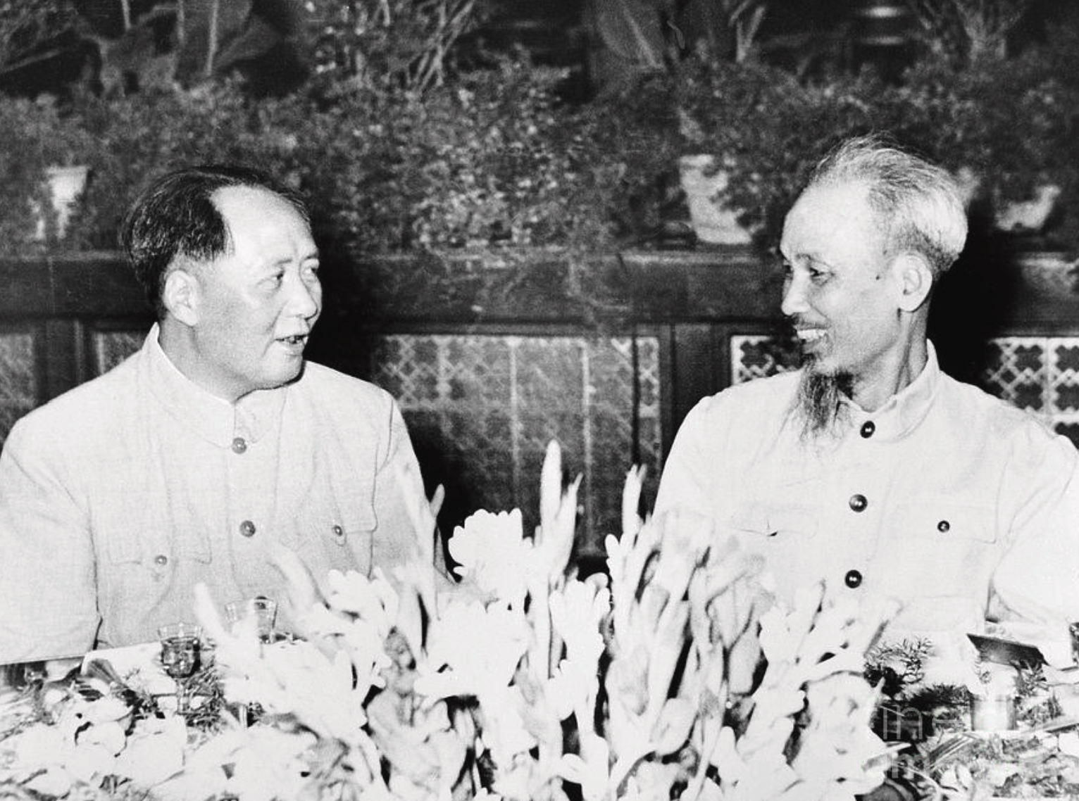 Ho Chiu Minh and Mao
