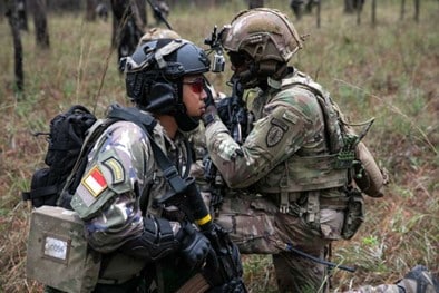 Partner forces in Europe