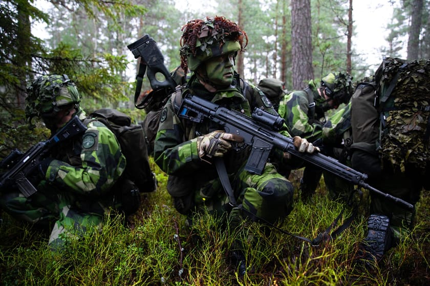 Do Total Defense Strategies Increase State Resiliency?