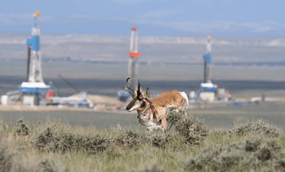 From Coal to Code to Reactors: How Wyoming’s State and Local Decisions Shape Irregular Warfare